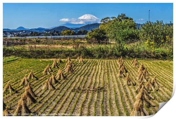 Rice Field Countryside Mount Fuji Hiratsuka Kanagawa Japan Print by William Perry