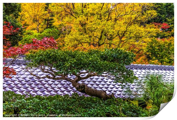 Colorful Tree Fall Leaves Tofuku-Ji Zen Buddhist Temple Kyoto Ja Print by William Perry