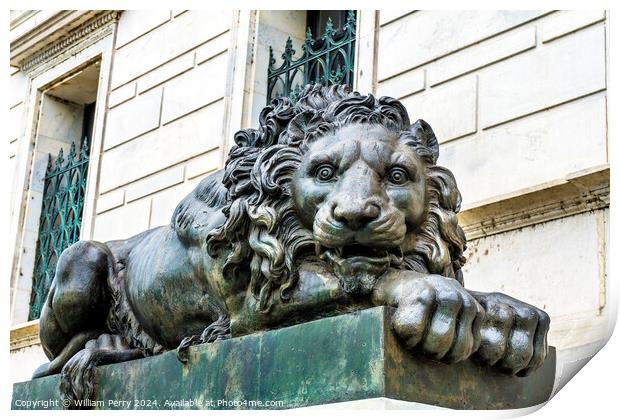 Sad Lion Closed Cochran Gallery of Art Washington DC Print by William Perry