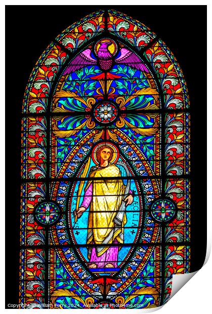 Saint Cecilia Stained Glass Basilica of Notre Dame Lyon France Print by William Perry