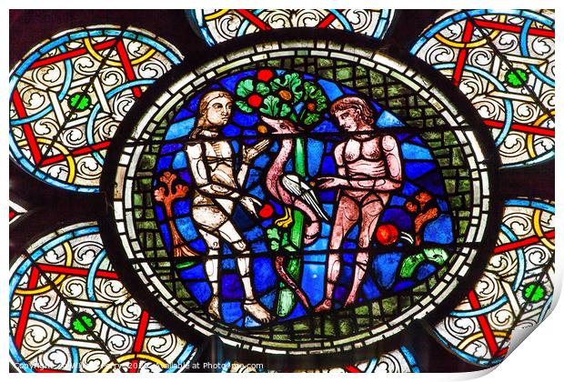 Adam Eve Stained Glass Notre Dame Cathedral Paris  Print by William Perry