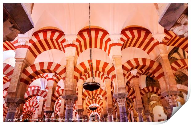 Mezquita Cordoba Spain Print by William Perry