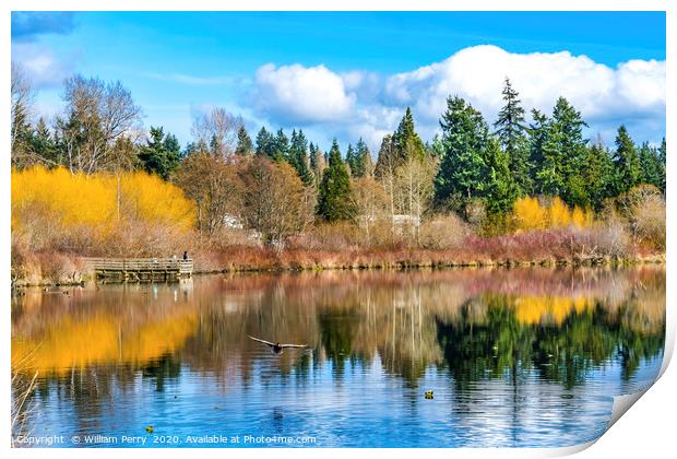 Larsen Lake Reflection Bellevue Washington Print by William Perry