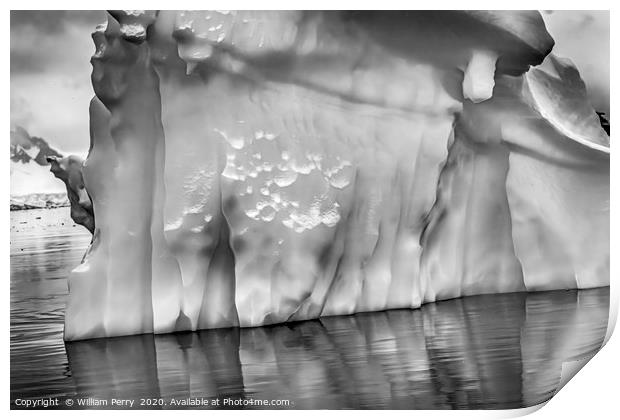 Black White Iceberg Reflection Paradise Bay Antart Print by William Perry