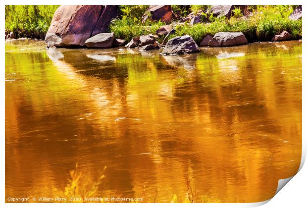 Gold Yellow Reflection Abstract Colorado River Uta Print by William Perry