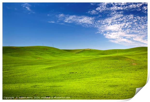 Grass Blue Skies Palouse Washington State Print by William Perry