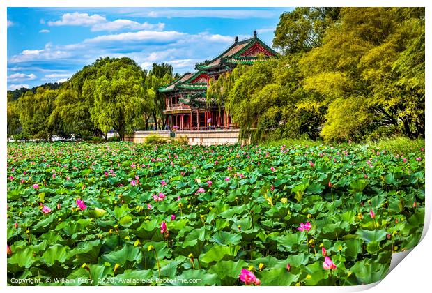 Red Pavilion Lotus Garden Summer Palace Beijing Ch Print by William Perry