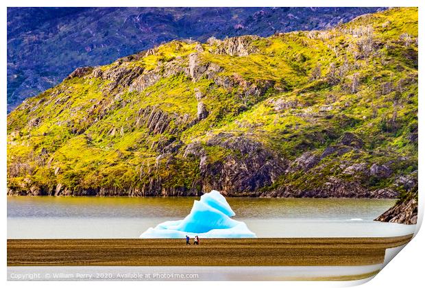 Blue Iceberg Grey Lake Torres del Paine National P Print by William Perry