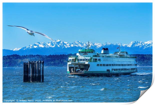 Seagull Washington State Ferry Olympic Mountains E Print by William Perry