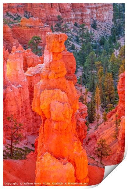 Thor's Hammer Hoodoo Sunset Point Bryce Canyon Nat Print by William Perry