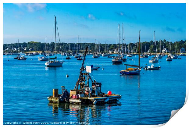 Mooring Raft Sailboats Padanaram Harbor Dartmouth Massachusetts Print by William Perry