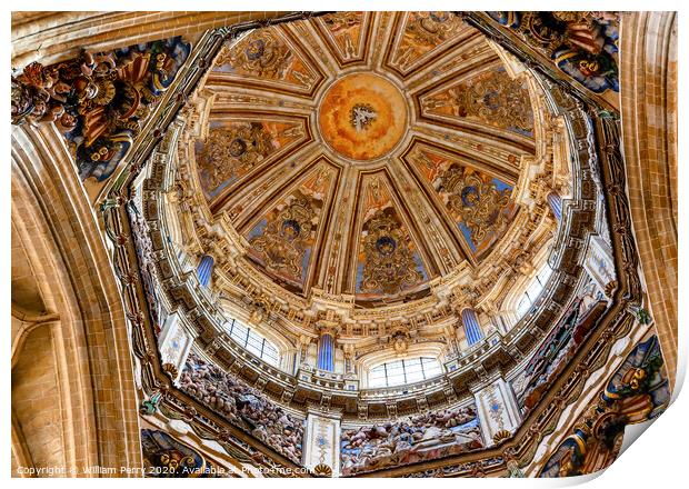 Stone Dome Holy Spirit Statues New Salamanca Cathedral Spain Print by William Perry