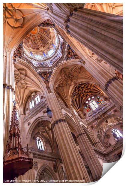 Stone Columns Statues Dome New Salamanca Cathedral Spain Print by William Perry
