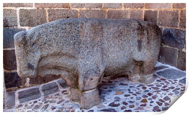 Ancient Stone Bull Statue Avila Castile Spain Print by William Perry
