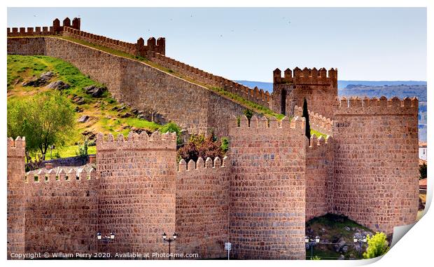 Avila Castle Walls Ancient Medieval City Cityscape Castile Spain Print by William Perry