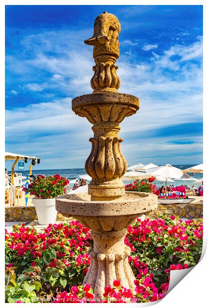 Fountain Pink Bougainvillea Beach Restaurants Cabo San Lucas Mexico Print by William Perry