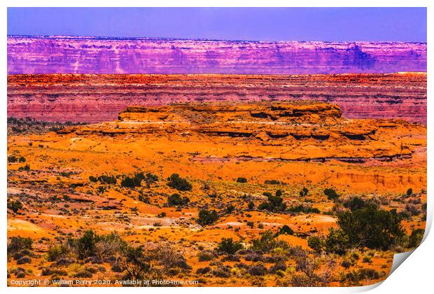 Colorful Canyon Cliff Mexican Hat Monument Valley Utah Print by William Perry