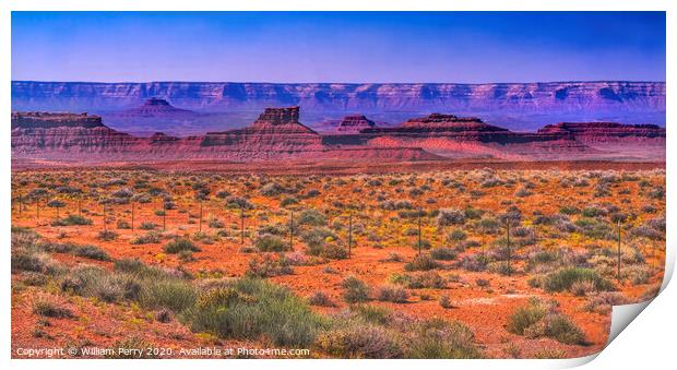 Valley of the Gods Mesa Rock Formations Monument Valley Utah Print by William Perry