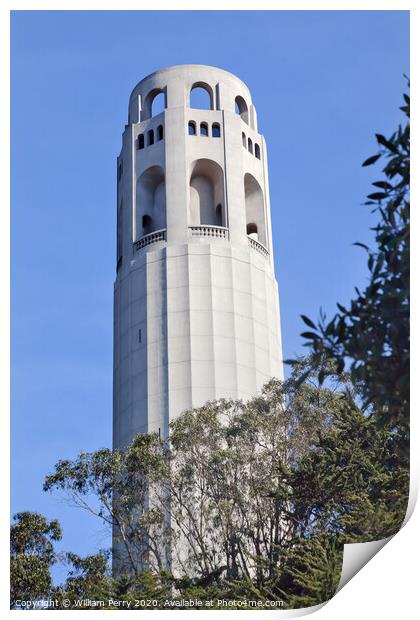 Coit Tower San Francisco California Print by William Perry