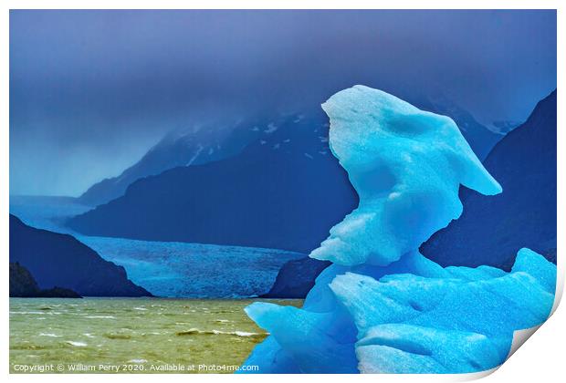 Blue Dragon Iceberg Grey Lake Torres del Paine National Park Chi Print by William Perry
