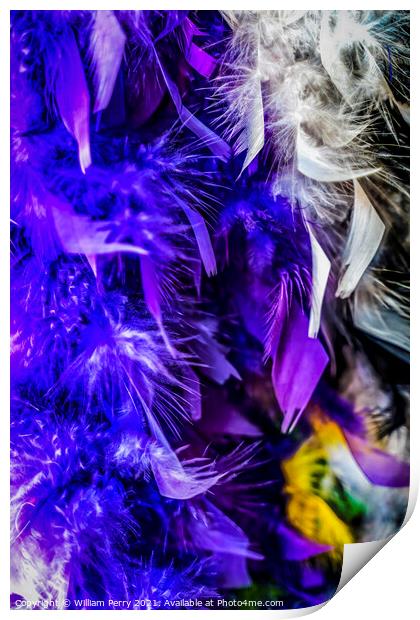 Colorful Feathers Necklaces Mardi Gras New Orleans Louisiana Print by William Perry