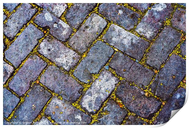 Sidewalk Bricks Garden District New Orleans Louisiana Print by William Perry