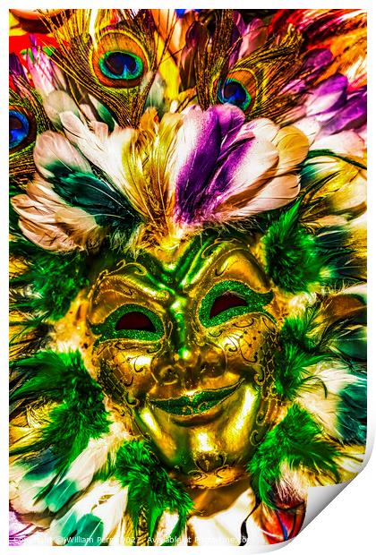 Colorful Green Gold Mask Feathers Mardi Gras New Orleans Louisia Print by William Perry