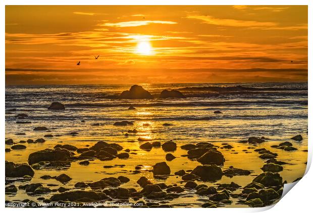 Colorful Yellow Low Tide Pools Canon Beach Oregon Print by William Perry