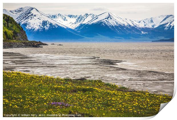 Snow Mountains Yellow Flowers Ocean Seward Highway Anchorage Ala Print by William Perry