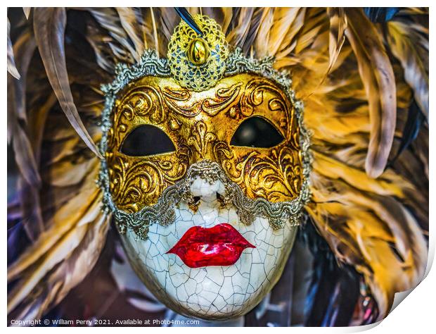 White Golden Venetian Mask Feathers Venice Italy Print by William Perry