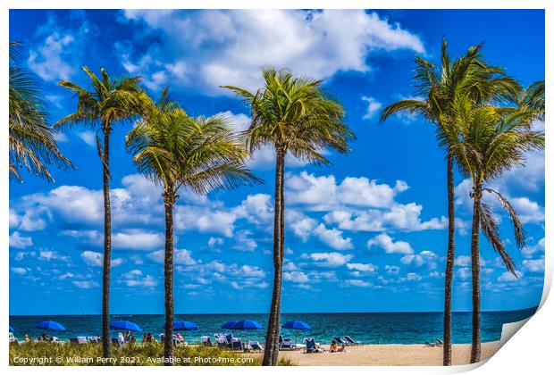 Yellow Beach Palm Trees Blue Ocean Fort Lauderdale Florida Print by William Perry