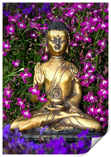 Buddha Print by Wayne Molyneux