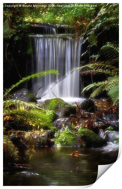 Mill Race at Rivelin Valley  Print by Wayne Molyneux