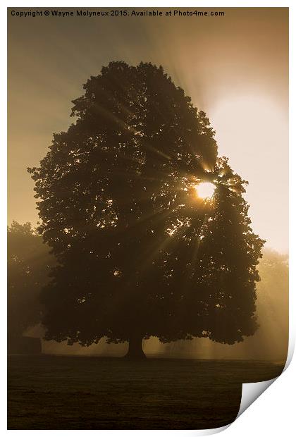  Early mist & Sunburst Print by Wayne Molyneux