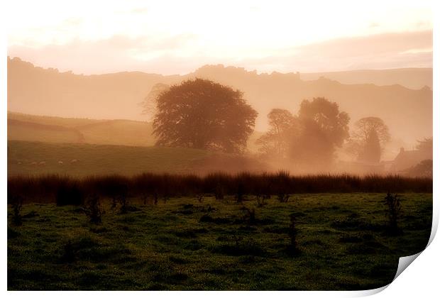 Dawn breaks over Ramshaw Rocks Print by Wayne Molyneux