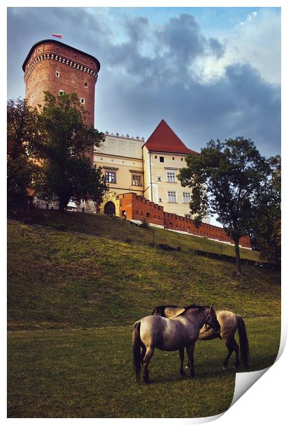 Krakow, Poland - August 18, 2015: Two identical ho Print by Arpan Bhatia