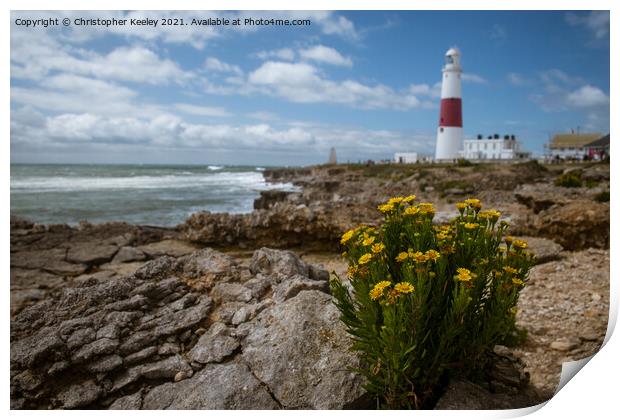 Portland Bill Lighthouse in summer Print by Christopher Keeley