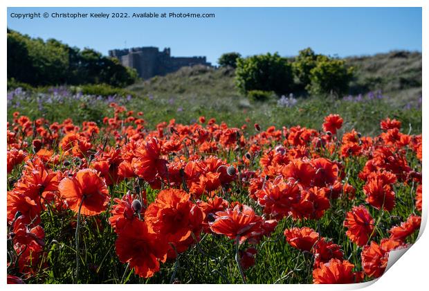 Poppies and Bamburgh Castle Print by Christopher Keeley