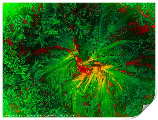 Abstract shapes from lettuce leaves, edit digital. Print by Hanif Setiawan