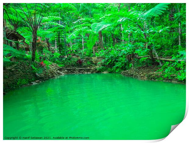 A natural green turquoise pond in a rainforest Print by Hanif Setiawan