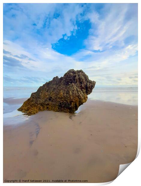 Rocky bird sitting on sand beach and looks to the  Print by Hanif Setiawan