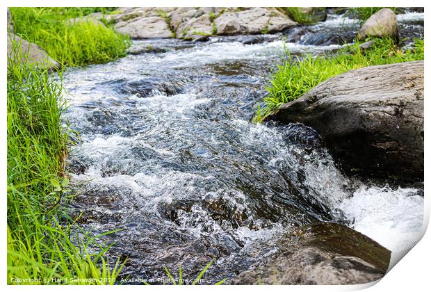 Wild creek with stones and grass 3 Print by Hanif Setiawan