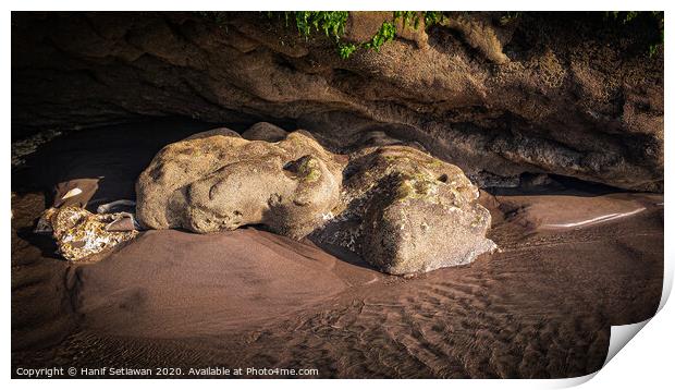 White frog stone sculpture by erosion 1 Print by Hanif Setiawan