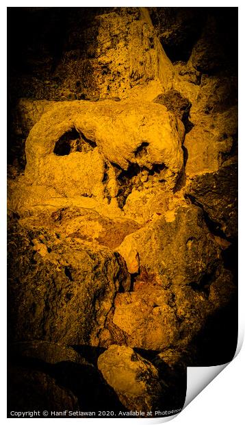 Animal skull sculpture by rock erosion 2 Print by Hanif Setiawan