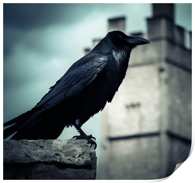 A crow sitting on a ledge  Print by Paddy 