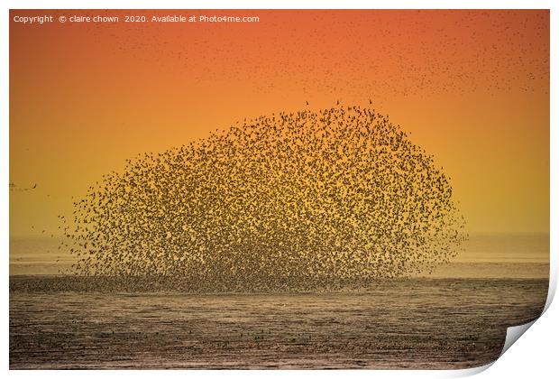 Sunset Seabird Murmuration Print by claire chown