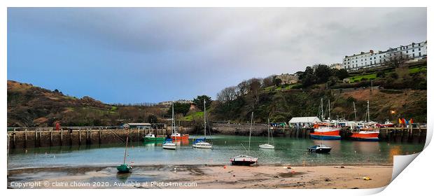 Ilfracombe Harbour Print by claire chown