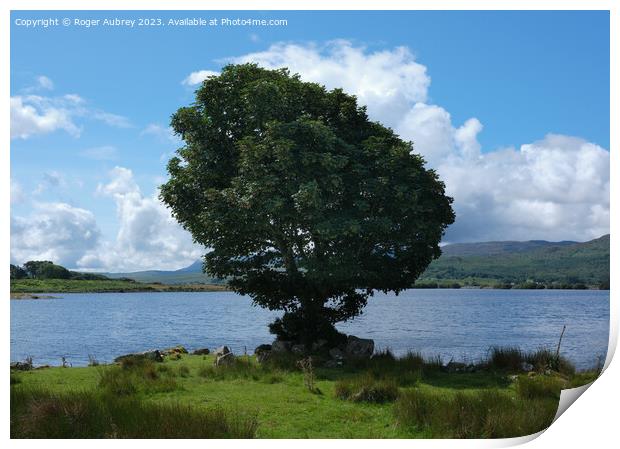 Lake Trawsfynydd, Snowdonia National Park, North Wales Print by Roger Aubrey