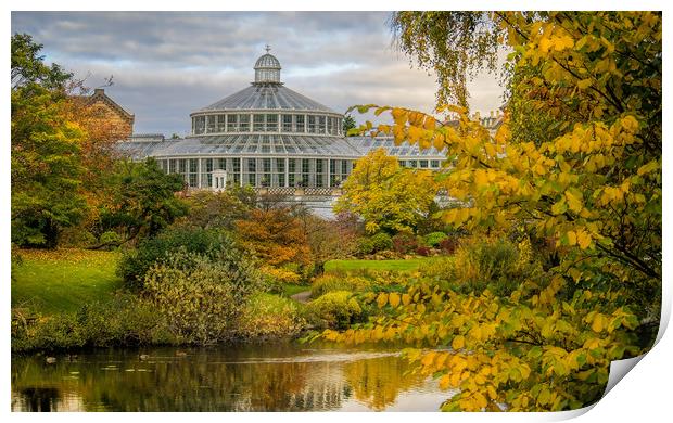 Botanical gardens, Copenhagen Print by Zita Stanko