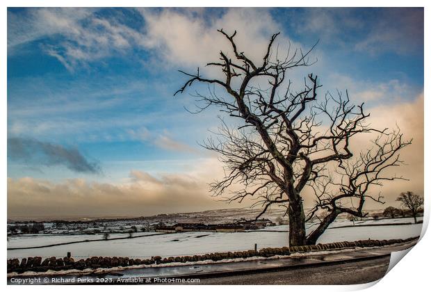 Winter Tree in the Yorkshire Landscape Print by Richard Perks